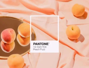 Peach Fuzz è il colore Pantone 2024: a chi sta bene il make-up dai toni pesca